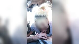 Wife gives backseat blowjob ro brother in law at picnic