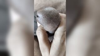 Dick Massage