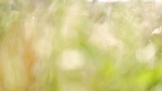 High Quality Sex Scenes - Daring! - First Summer Love 02