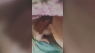 Creamy tight pussy