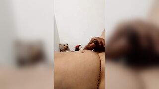 My Wife's Blowjobs