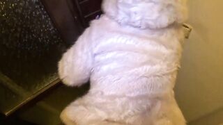 Risky Outdoor & Indoor Blowjob in Stockings & White Fur Coat - Messy Cum Finish 297