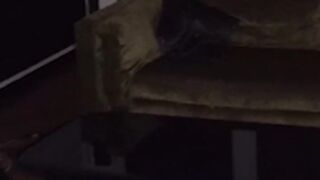 ???? Halloween: Horror girl Candie Cross sucks the life out of me ????