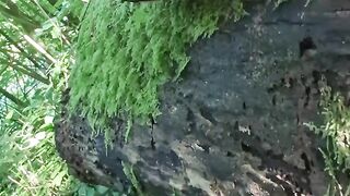 Follow me on F2F, see official link