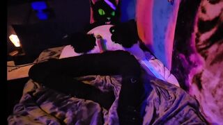 Argentum cumming paws free