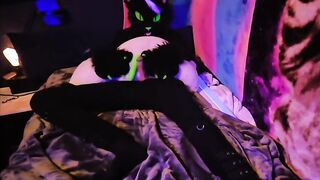 Argentum cumming paws free